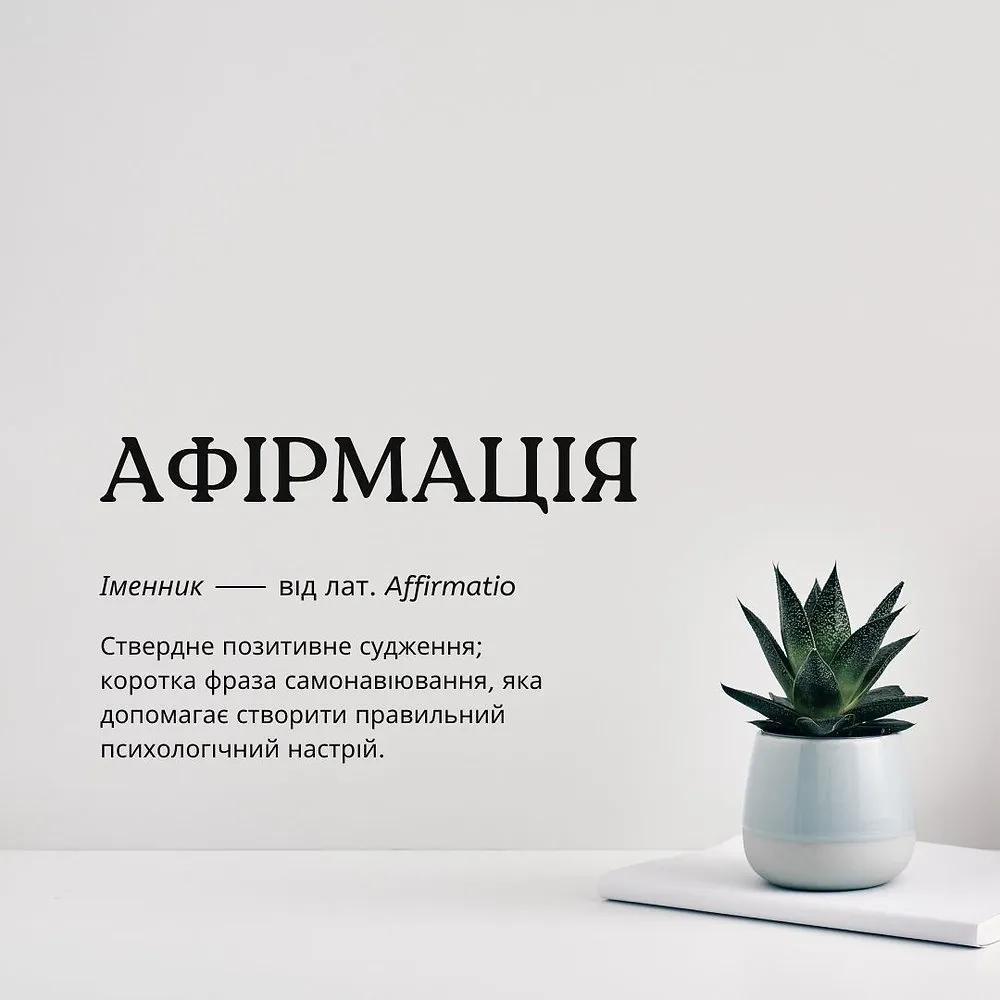 Словникове визначення слова 'АФІРМАЦІЯ' поруч із сукулентом у горщику на білому тлі