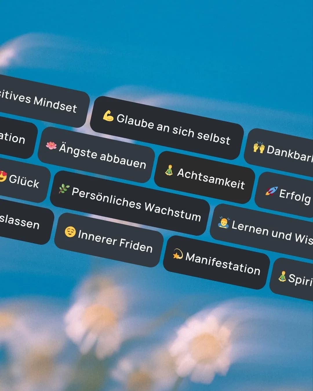 40 Themenbereiche — VISIYA Affirmationen-App