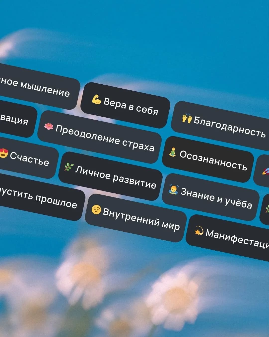 40 разнообразных категорий — приложение VISIYA