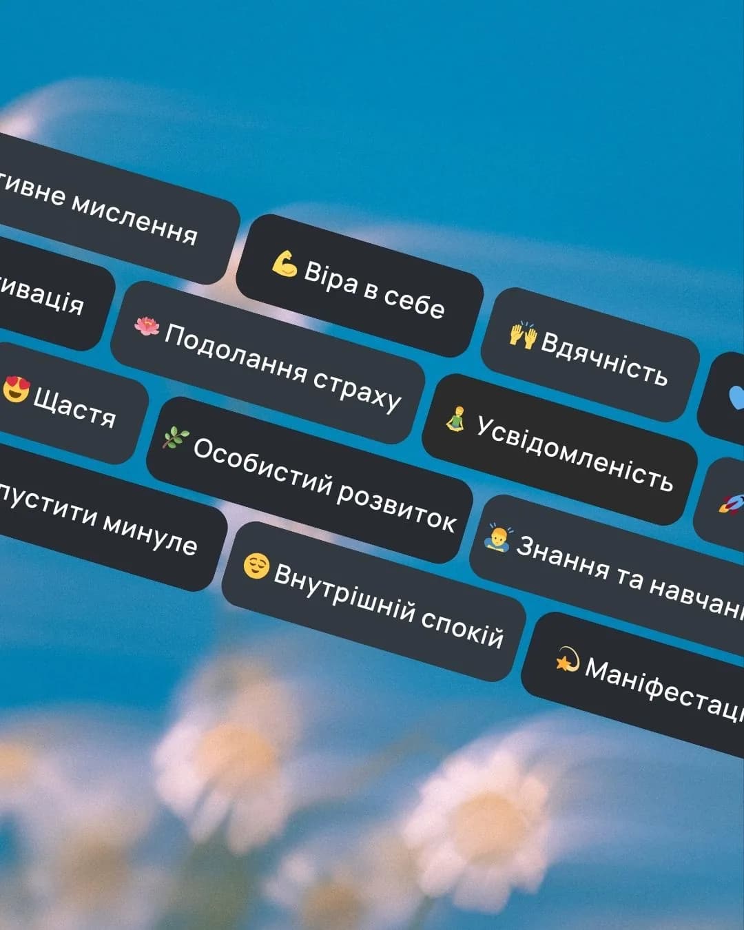 40 різноманітних категорій — застосунок VISIYA