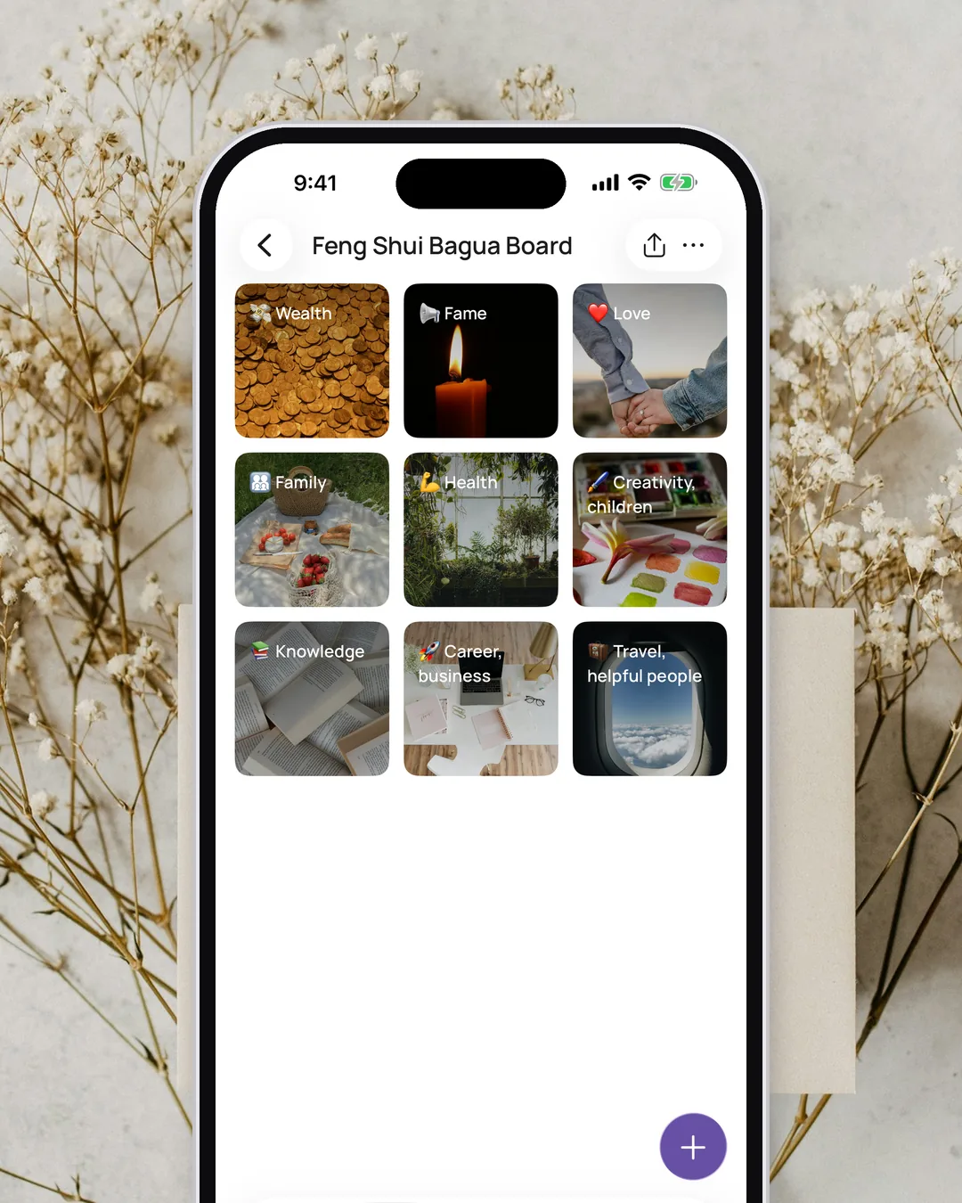 The free Feng Shui Bagua Board in the VISIYA app, all nine areas filled with photos