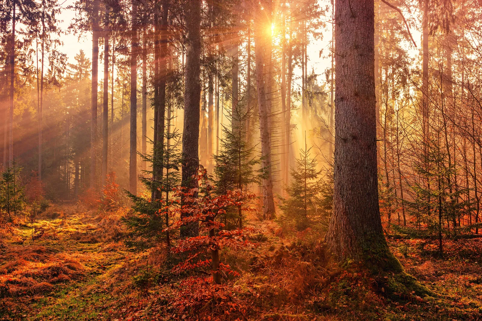 Grateful for the seasons and the world around us
