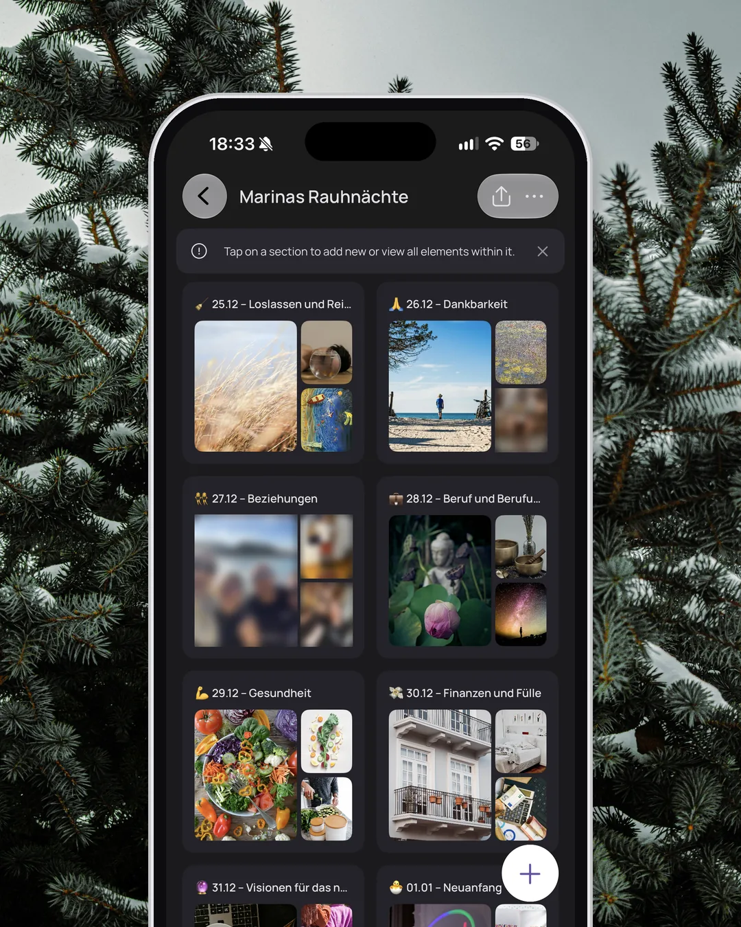 Mein Board „Marinas Rauhnächte“ in VISIYA auf dem iPhone, im dunklen Modus, mit den Nächten vom 25.12. bis 1.1. und eigenen Fotos, Gesichter unkenntlich gemacht