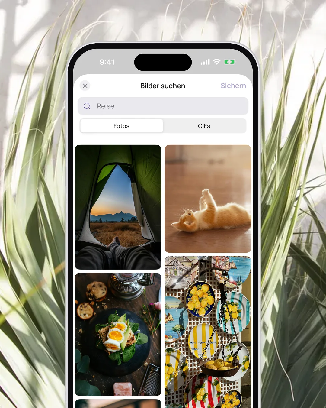 Das Fenster „Bilder suchen“ in VISIYA mit den Reitern Fotos und GIFs, auf einem iPhone zwischen Palmwedeln