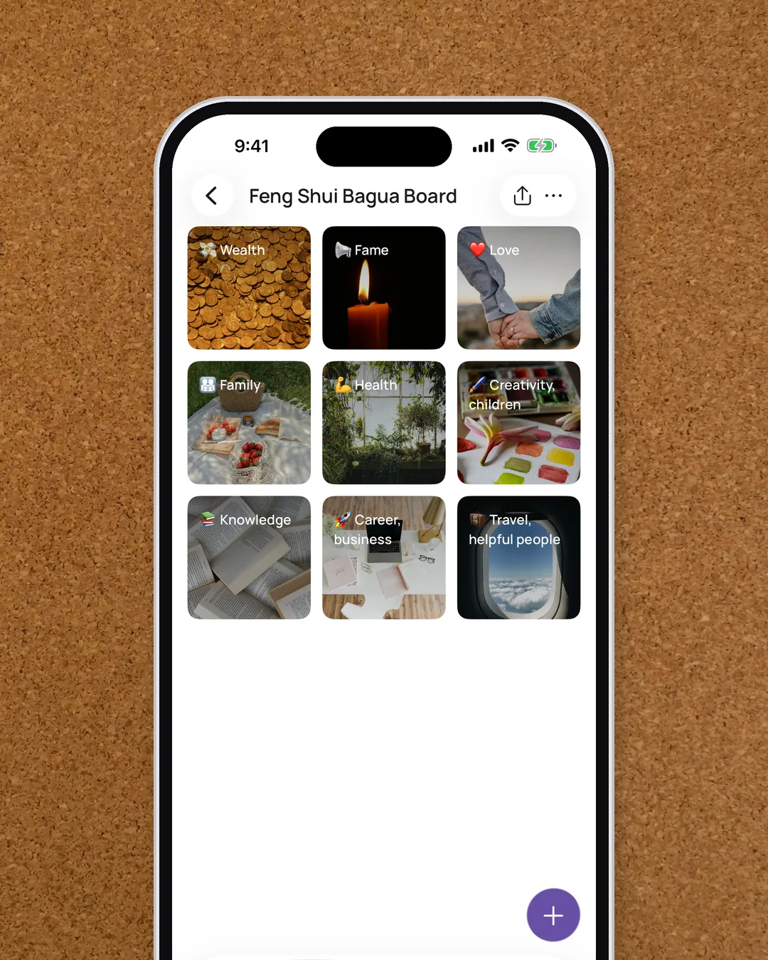 The Feng Shui Bagua Board in the VISIYA app, with pictures in all nine areas