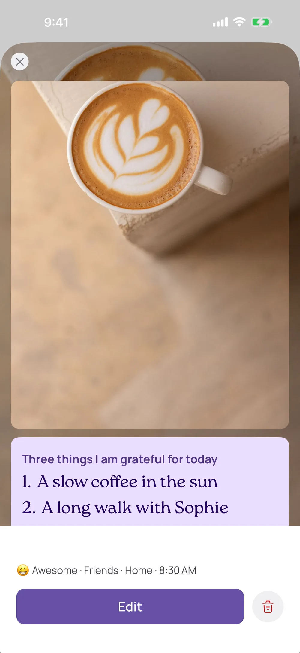 Photos (Plus) — VISIYA gratitude journal app