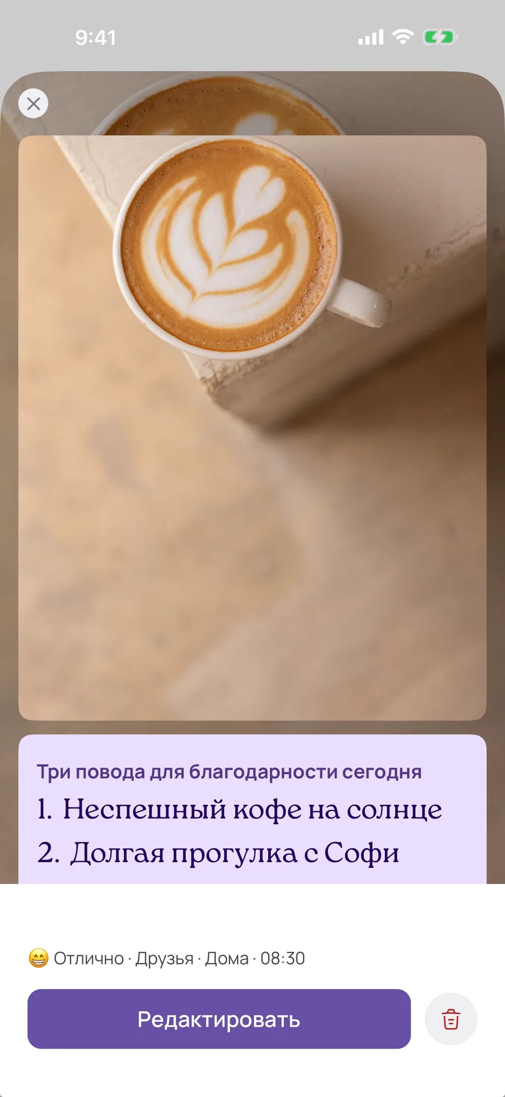 Фото в записях (Plus) — дневник благодарности в приложении VISIYA