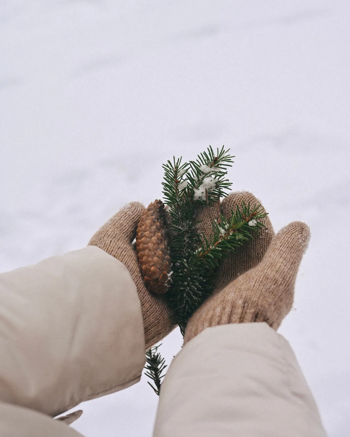 Eine Hand hält einen Kiefernzapfen vor einer verschneiten Winterlandschaft